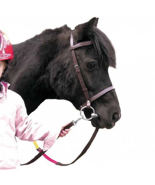 Bridon Educatif Shetland - SHOPHORSE