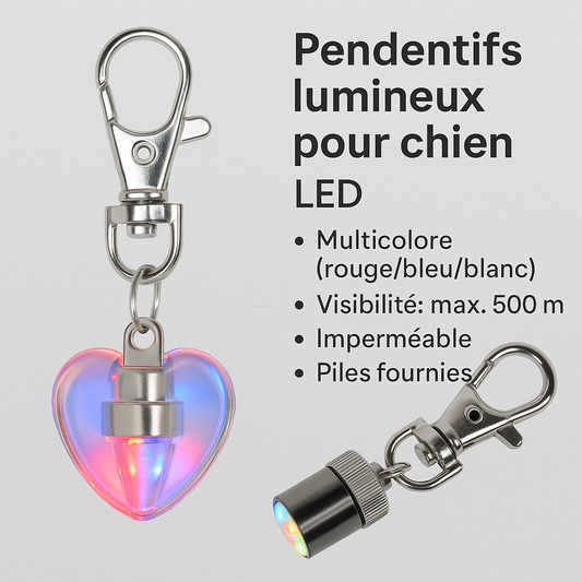 Pendentifs Lumineux pour Chien
