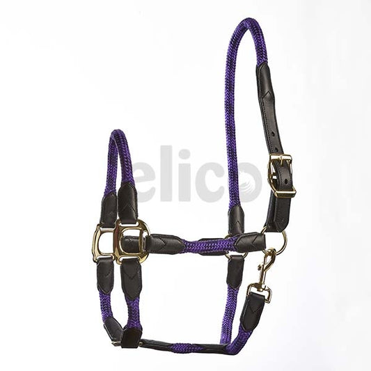 Galway Licol en Cuir et Cord - Cob