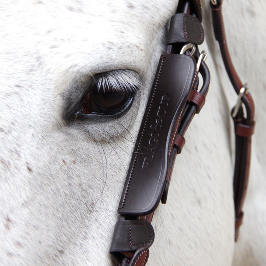 Flags&cup Oeillières
