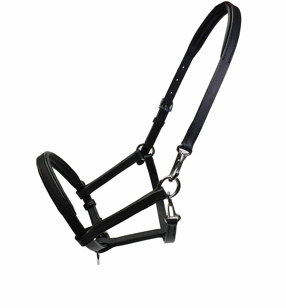 Rhinegold Licol en cuir Yearling
