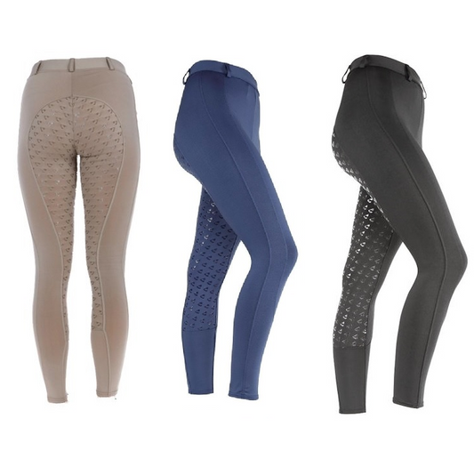 Aubrion Leggings d'Equitation Albany