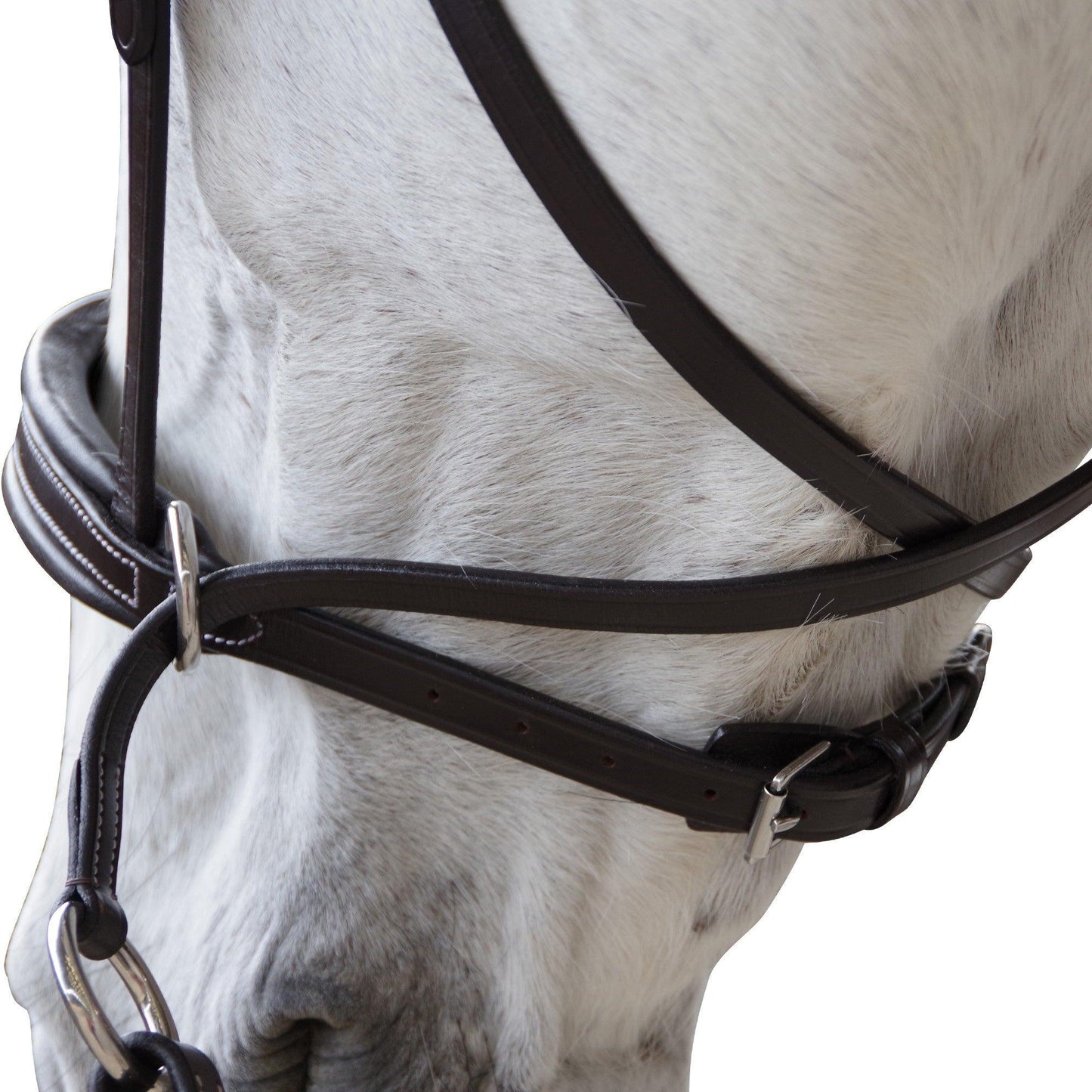 Bridon Bitless Evolution - SHOPHORSE