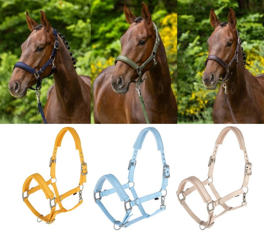 Covalliero Licol D'Ete