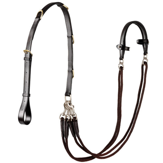 Daslo Gogue avec Anneaux