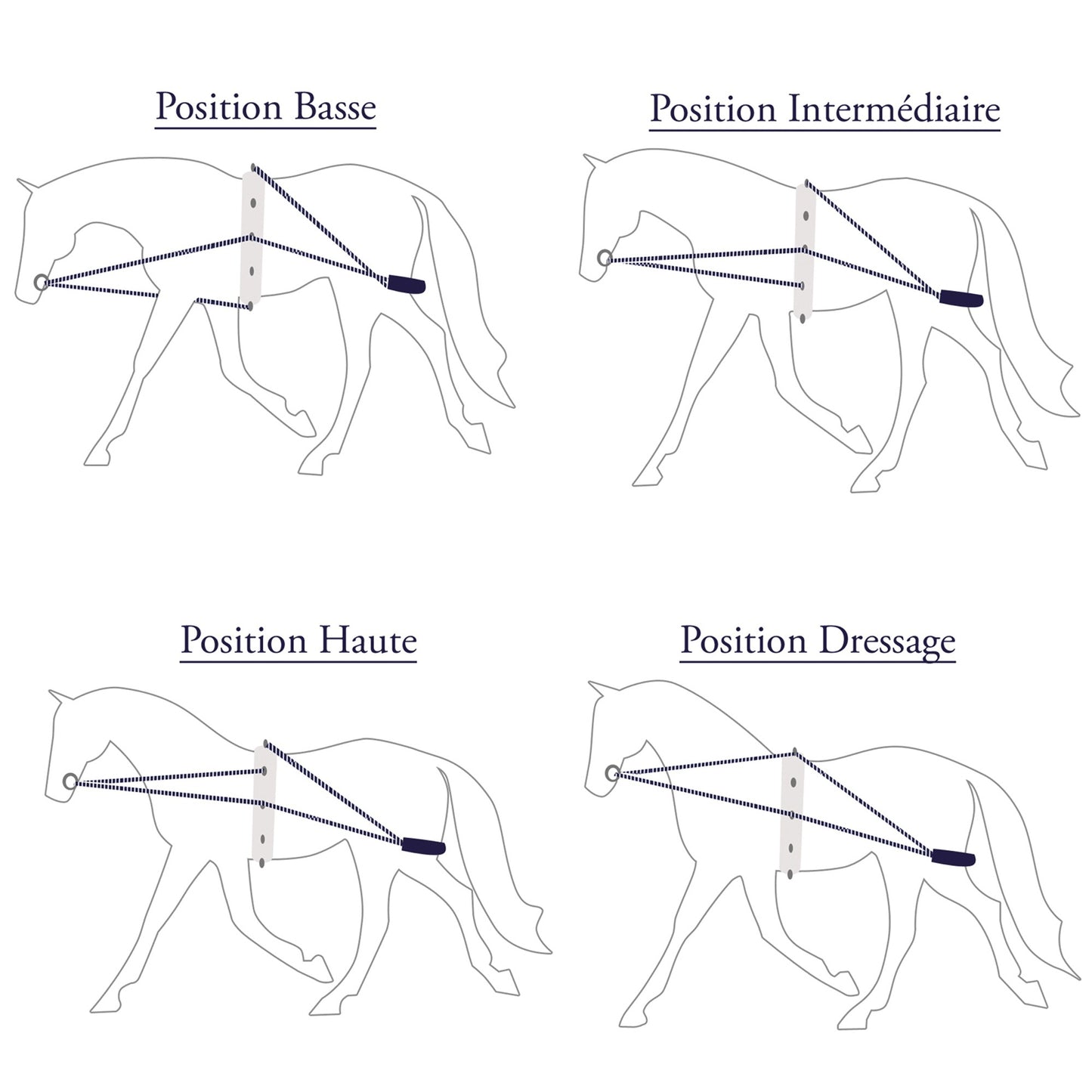 Privilege Enrenement de Travail Type Pessoa