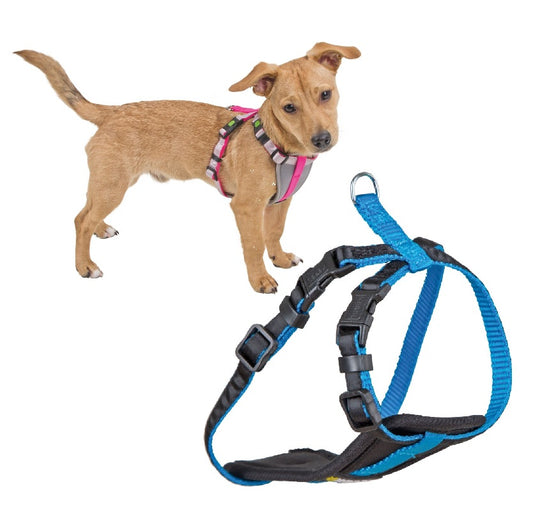 Harnais pour Petites Chiens