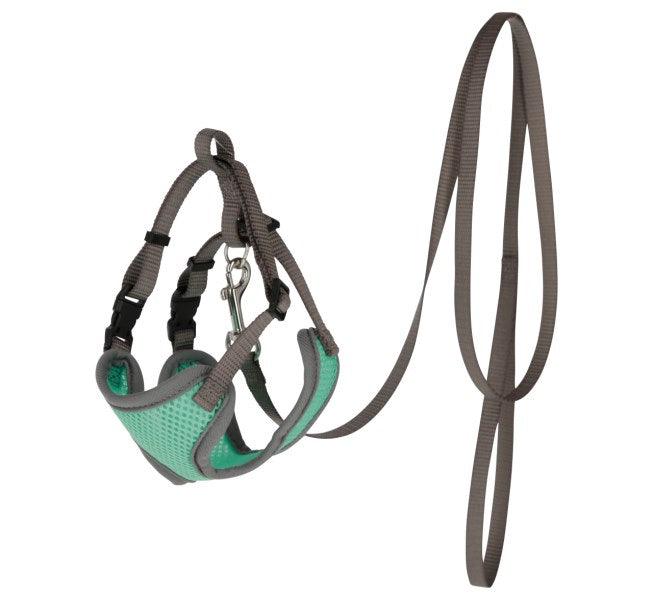 Harnais pour Chats et mini Chien avec Laisse - SHOPHORSE
