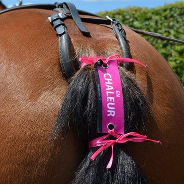 Hippicode Oeillets - SHOPHORSE