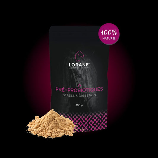 Lorane Pre Probiotiques