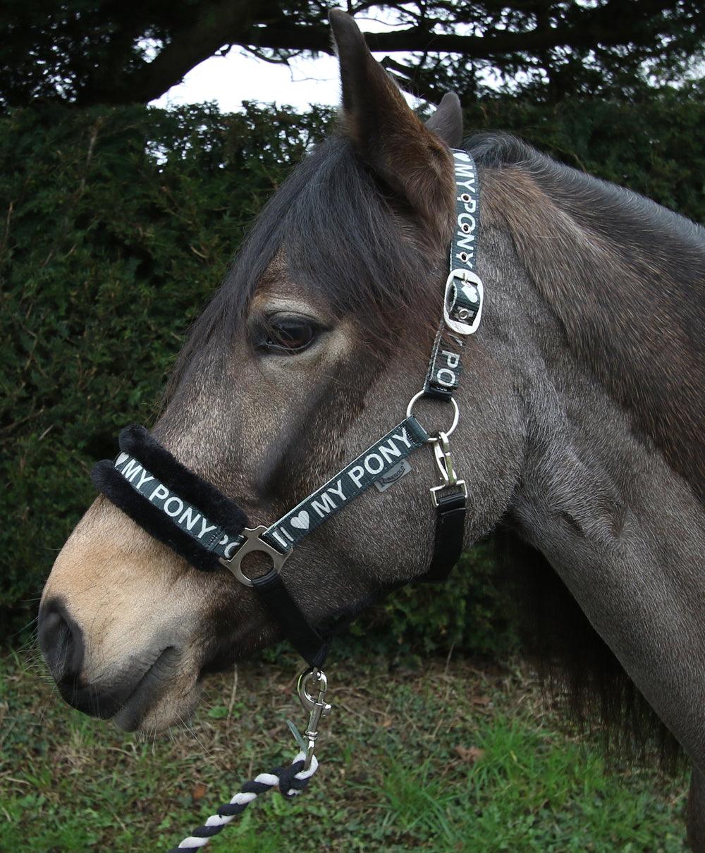 Rhinegold Licol et Longe Love My Pony Argent - SHOPHORSE