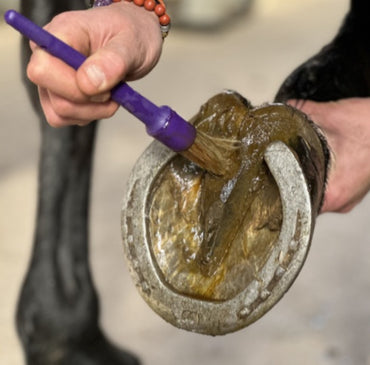 Nutragile Huile de Cade