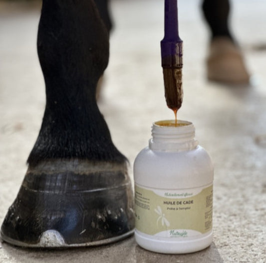 Nutragile Huile de Cade