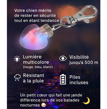 Pendentifs Lumineux pour Chien
