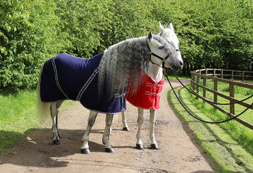 Rhinegold Chemise Polaire Comfey