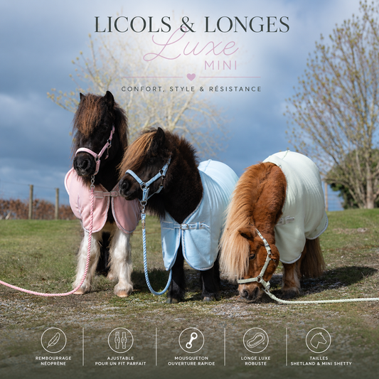 Rhinegold Licol et Longe Sorbet Mini