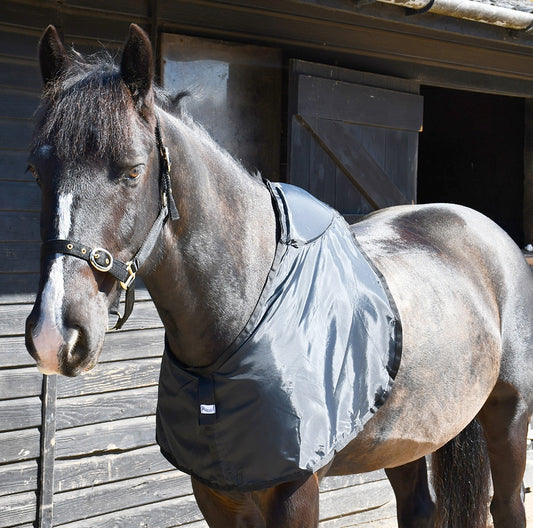 Rhinegold Protege Epaule Mousse Memoire