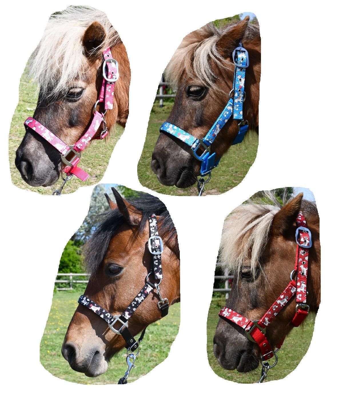 Rhinegold Licol et Longe Licorne - SHOPHORSE