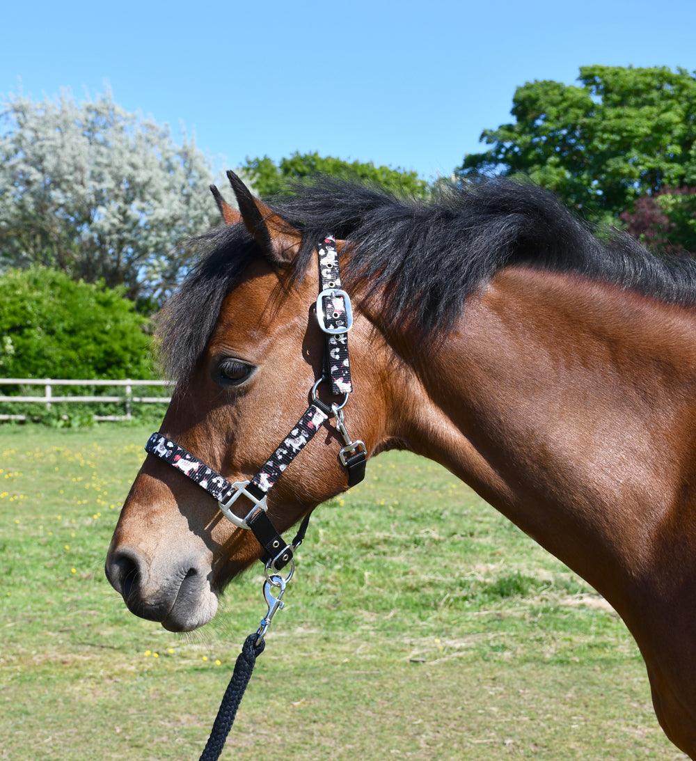Rhinegold Licol et Longe Licorne - SHOPHORSE