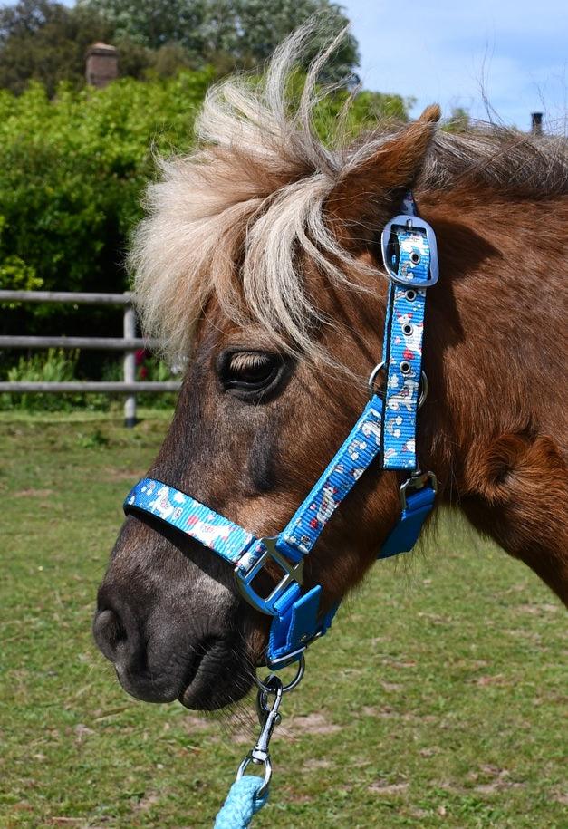 Rhinegold Licol et Longe Licorne - SHOPHORSE