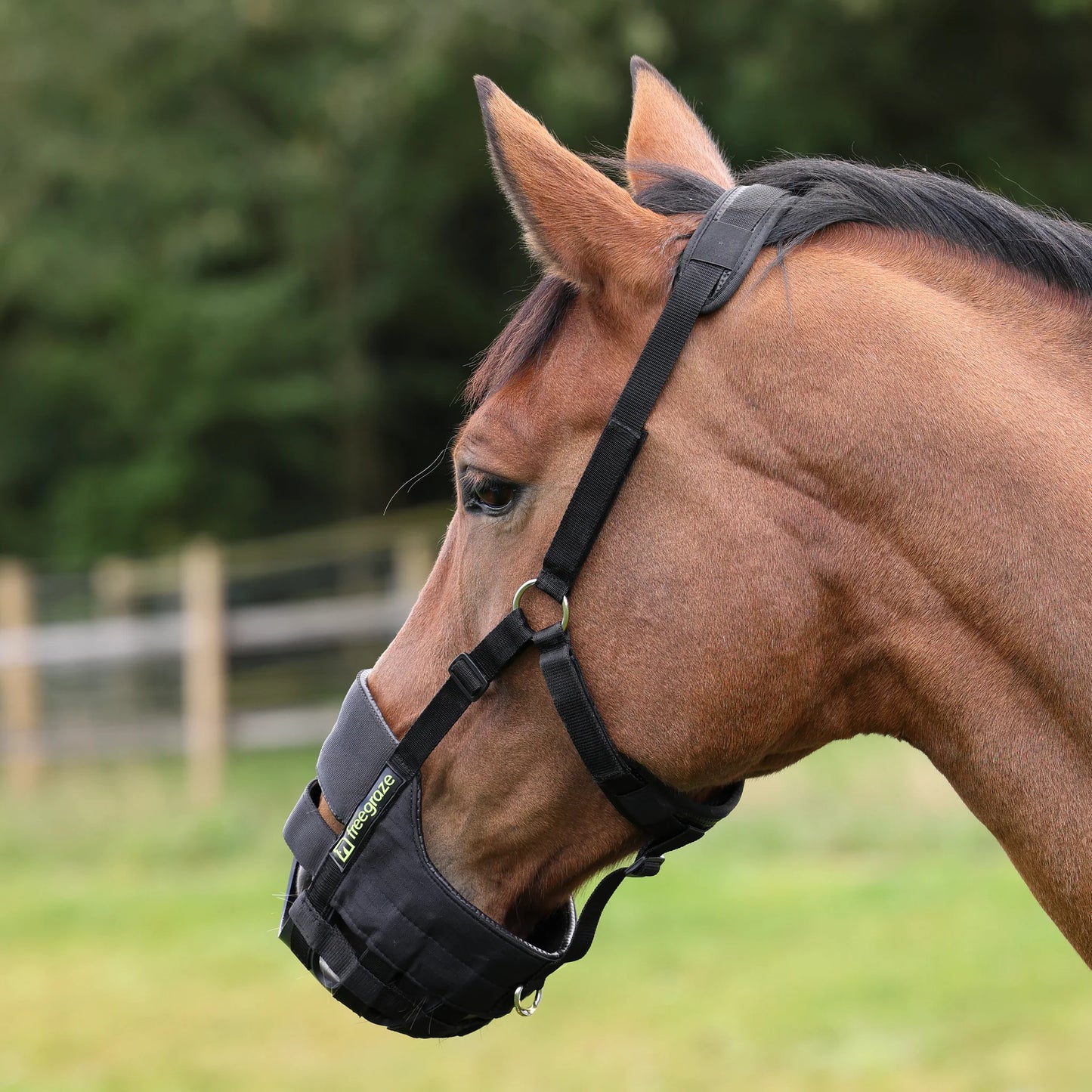 Freegraze Airflow Museliere