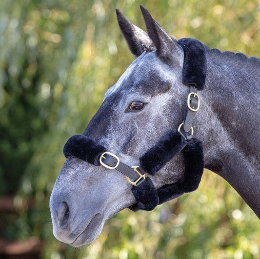 Supafleece Kit Fourreau de Licol