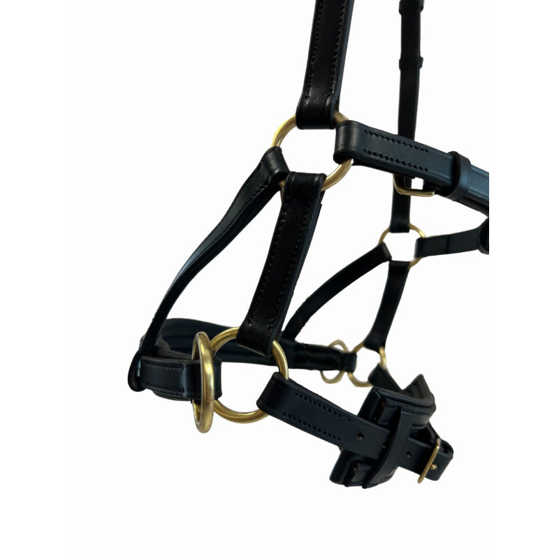 TdeT Sidepull en Cuir