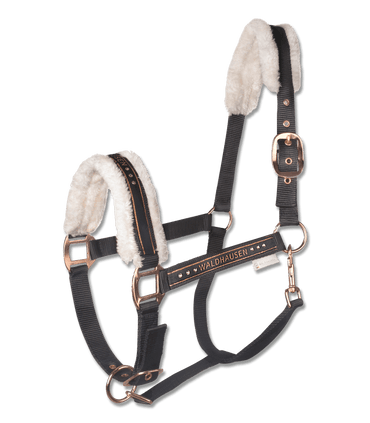 Licol Elegant - SHOPHORSE