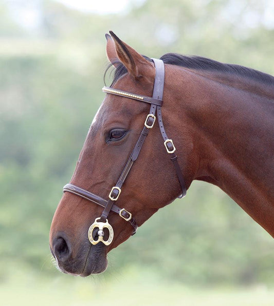 Shires Bridon de Presentation Clincher - SHOP HORSE