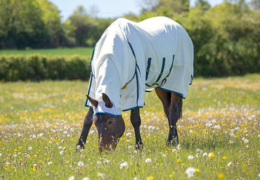 Shires Highlander Sweet Itch Combo - SHOP HORSE