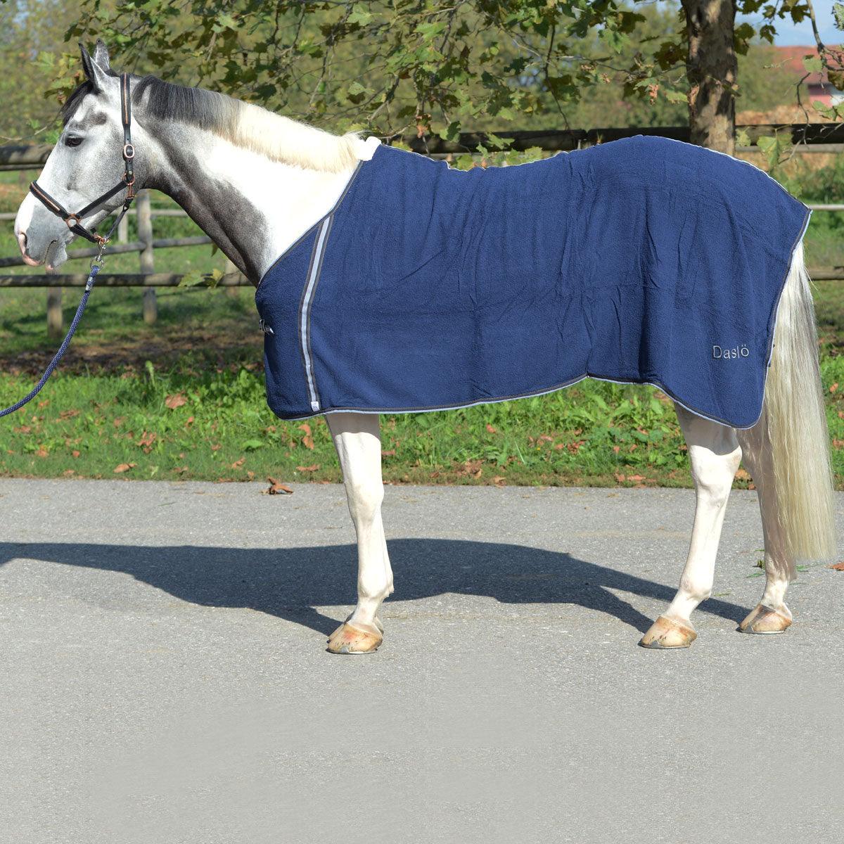 Daslo Chemise Eponge - SHOPHORSE