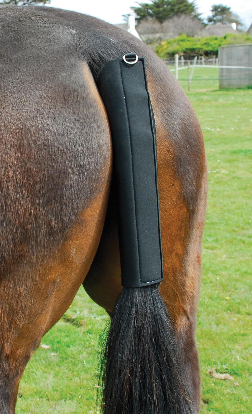 Rhinegold Protege Queue en Neoprene - SHOPHORSE
