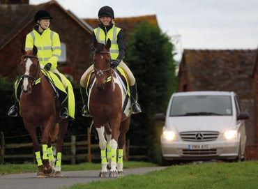 Equi-Flector Bandes Reflechissantes - SHOP HORSE