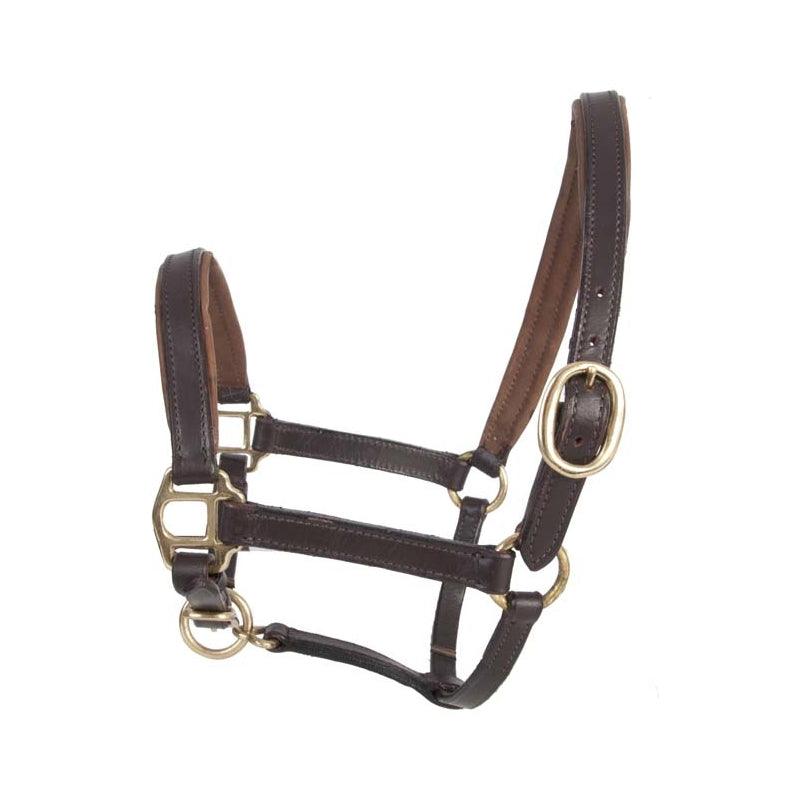 TdeT Licol Cuir Mini et Poulain - SHOP HORSE