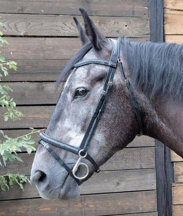 TdeT Bridon Guardi - SHOPHORSE