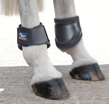 Westropp Protege Boulets - SHOPHORSE