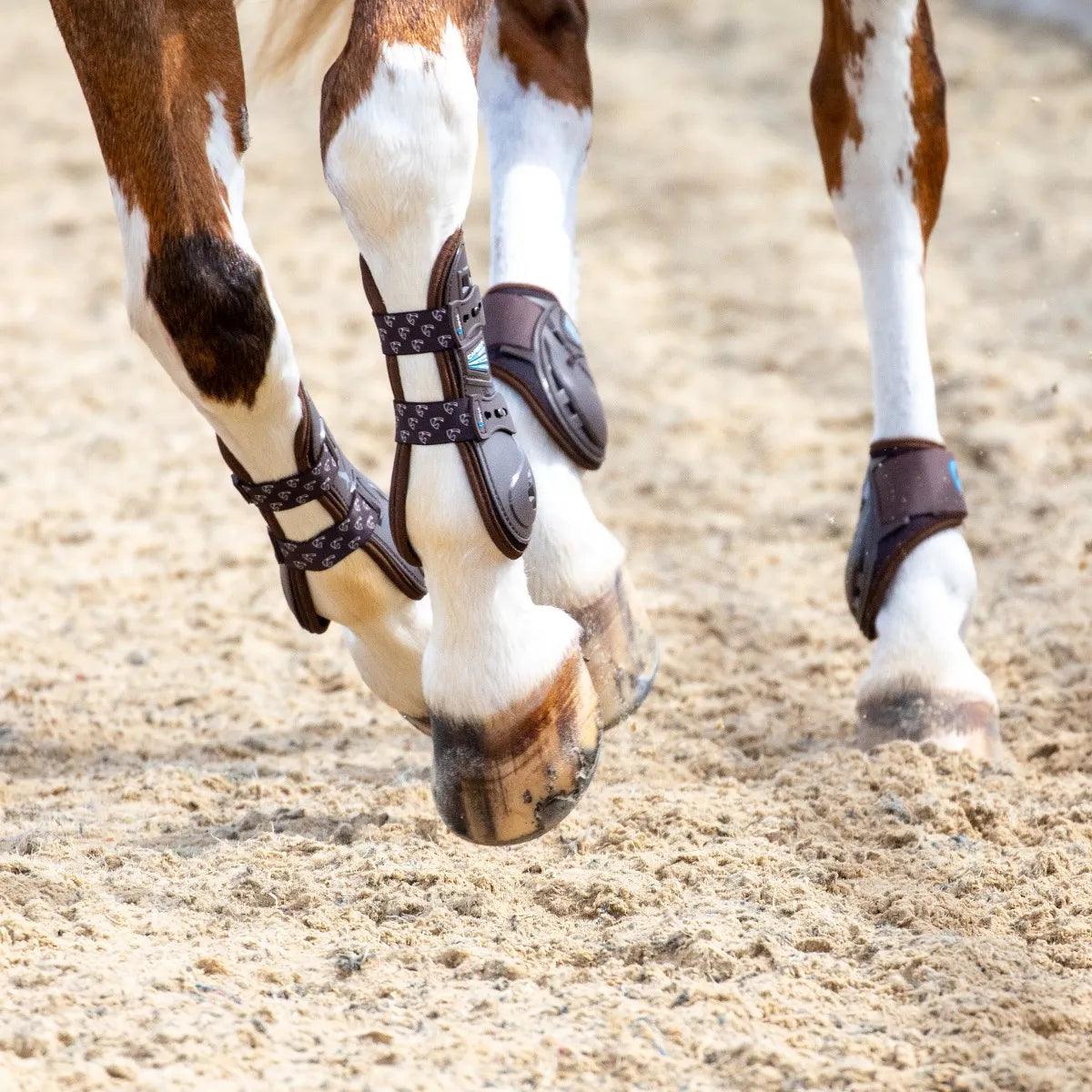 Arma Guetres Ouverts Carbon - SHOPHORSE
