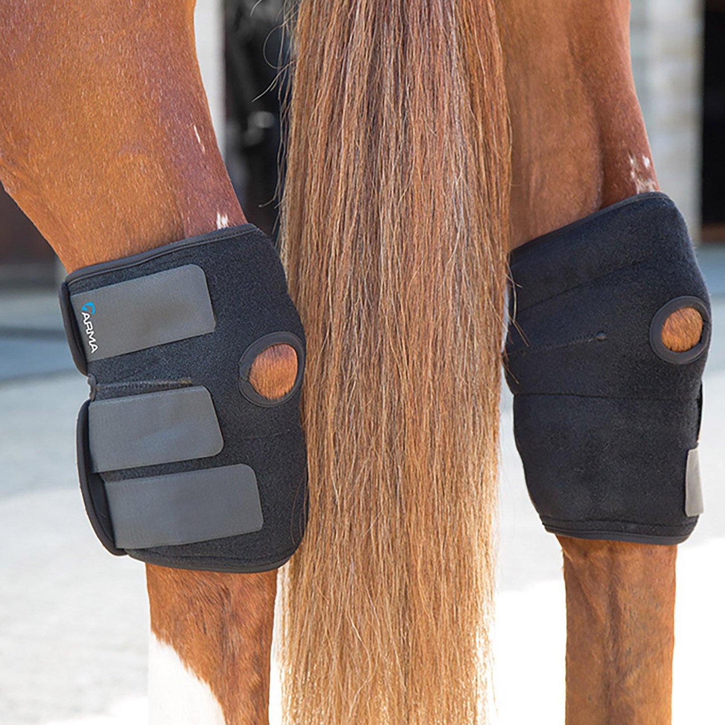Arma Guetres Therapeutique pour Articulations - SHOPHORSE