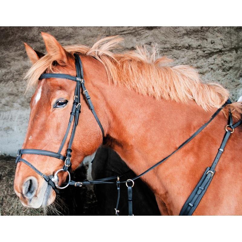 Biotack Bridon - SHOP HORSE