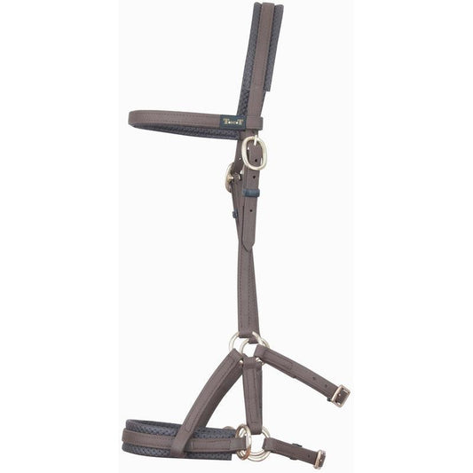 Biotack Sidepull - SHOPHORSE