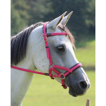 Biotack Sidepull - SHOPHORSE