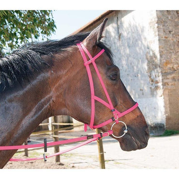 Biotack Bridon Licol - SHOP HORSE