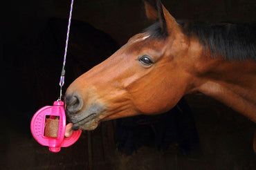 Bizzy Bites Jouet pour Cheval - SHOPHORSE