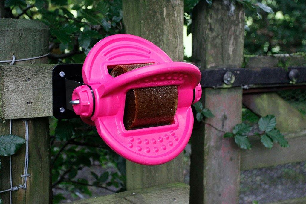 Bizzy Bites Support Mural - SHOPHORSE