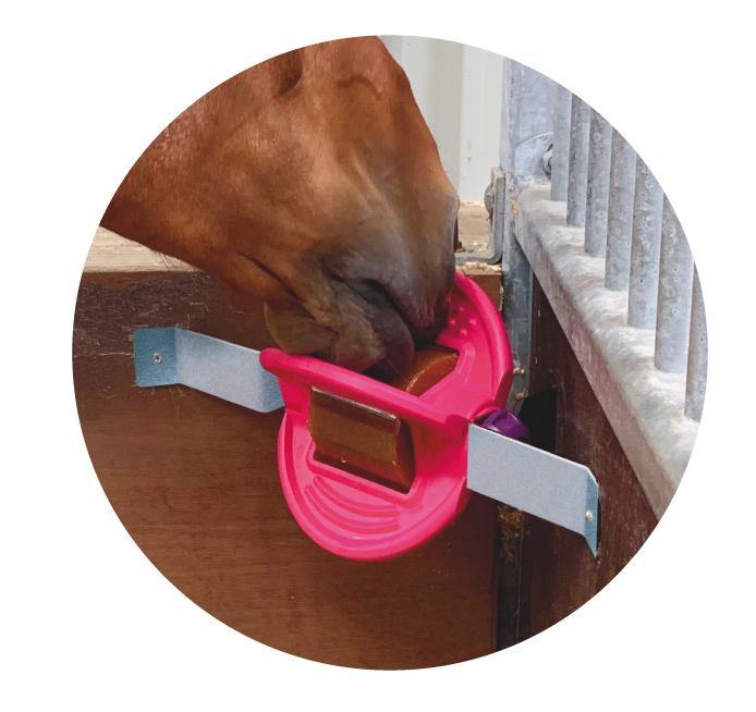 Bizzy Bites Jouet pour Cheval - SHOPHORSE