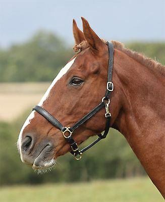 Shires Ragley Licol en Cuir - SHOPHORSE