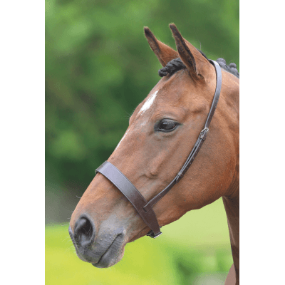 Blenheim Muserolle Hunter - SHOPHORSE