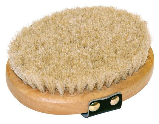 Brush & Co Brosse Lustrage - SHOPHORSE