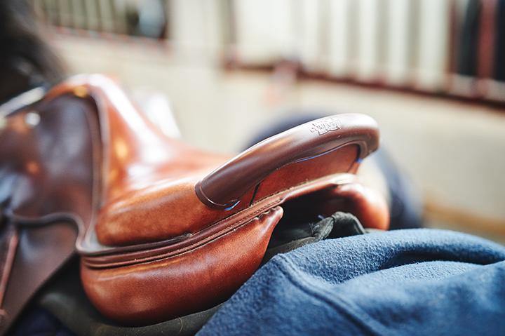 Compositi Protège troussequin - SHOP HORSE