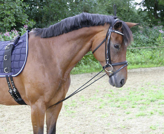 Covalliero Enrenement E;astique - SHOPHORSE